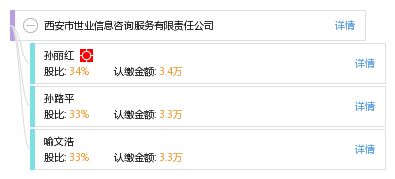 西安市世业信息咨询服务有限责任公司